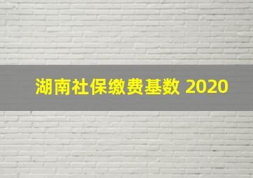 湖南社保缴费基数 2020